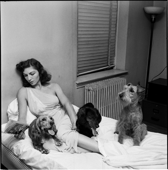 Stanley Kubrick for LOOK Magazine. A Dog's Life in the Big City [Women reading in bed with dogs.] 1949. X2011.4.12306.245